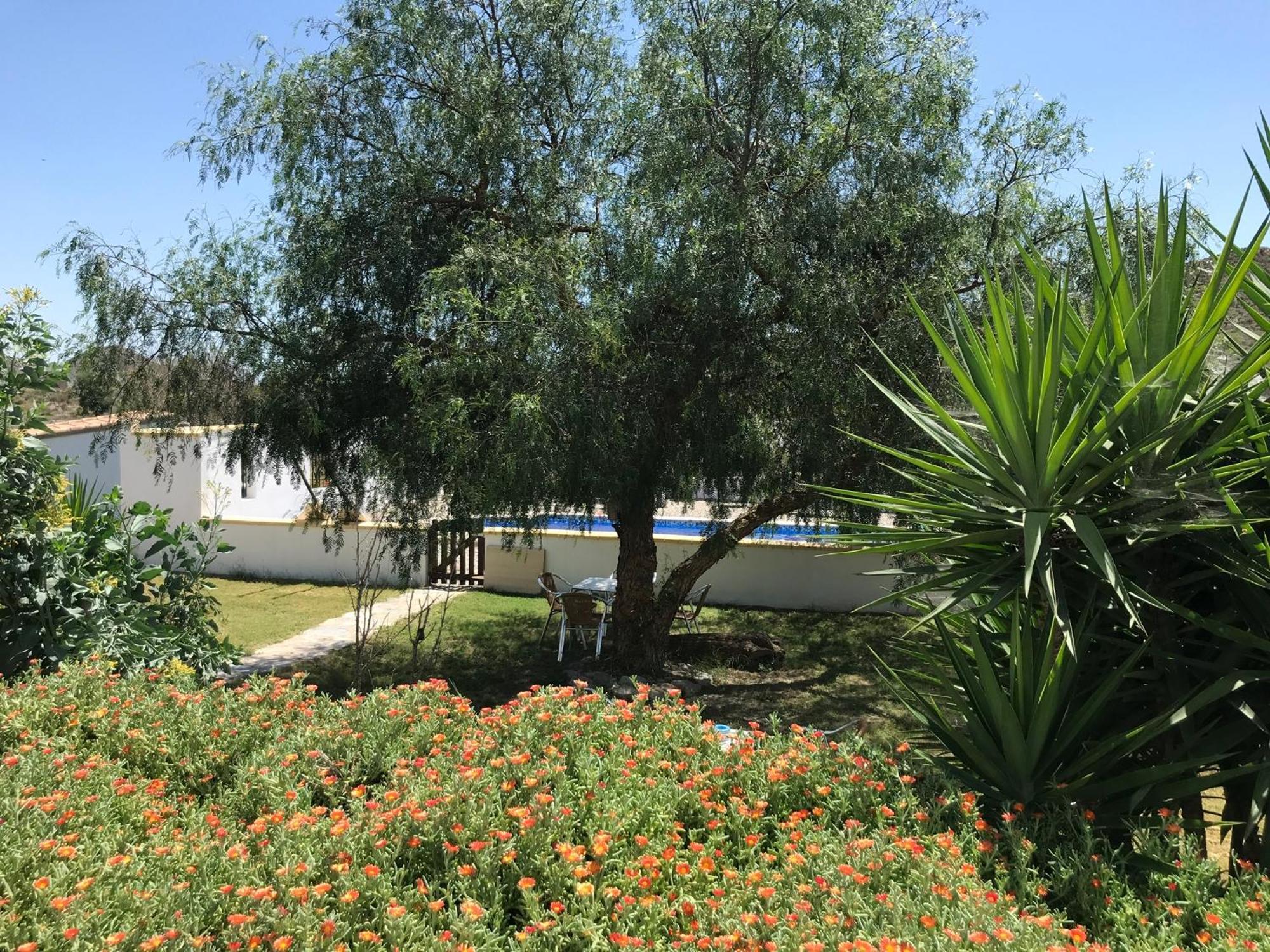 Appartamento Bella Vista Rural Retreat Arboleas Esterno foto